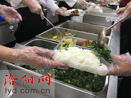 洛陽餐飲服務(wù)單位安全有序復(fù)工指引 保障舌尖上的安全